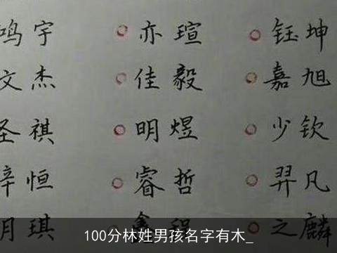 100分林姓男孩名字有木_