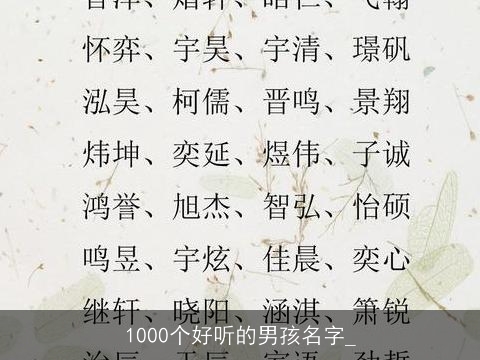 1000个好听的男孩名字_