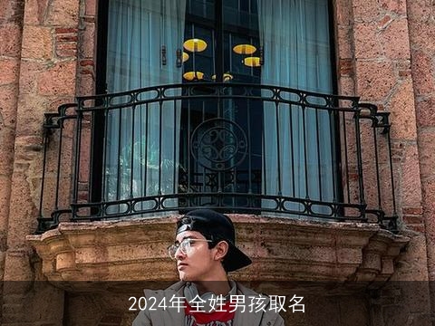 2024年全姓男孩取名