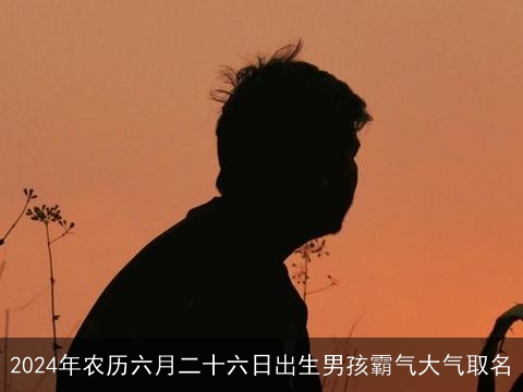 2024年农历六月二十六日出生男孩霸气大气取名