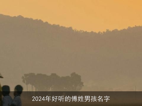 2024年好听的傅姓男孩名字