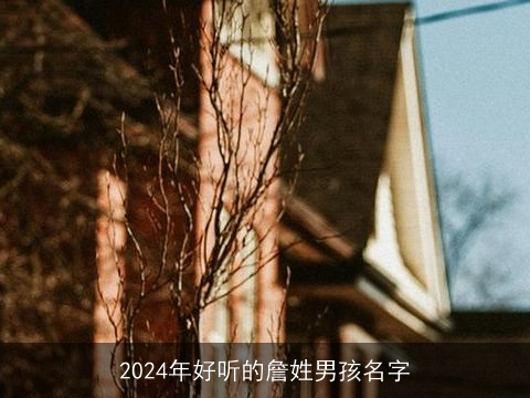 2024年好听的詹姓男孩名字