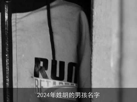 2024年姓胡的男孩名字