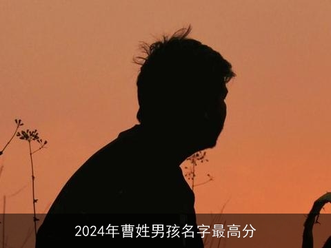 2024年曹姓男孩名字最高分