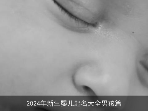 2024年新生婴儿起名大全男孩篇