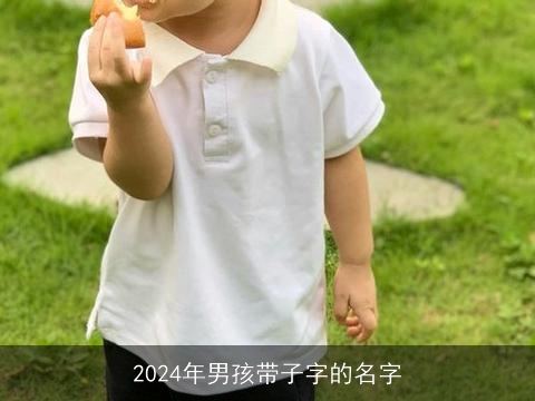 2024年男孩带子字的名字