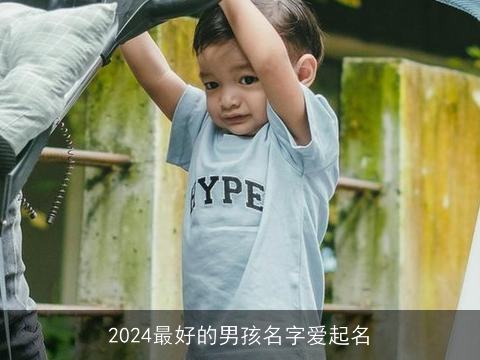 2024最好的男孩名字爱起名