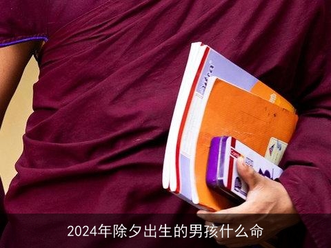 2024年除夕出生的男孩什么命