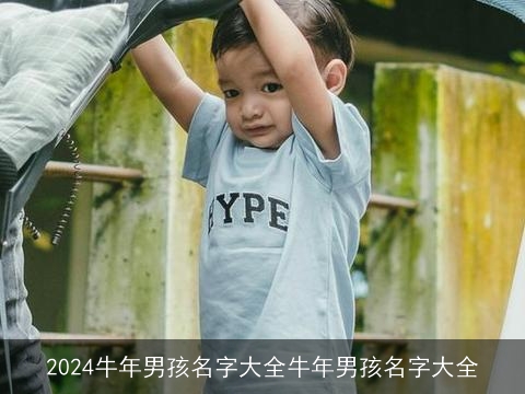 2024牛年男孩名字大全牛年男孩名字大全