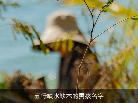 五行缺水缺木的男孩名字