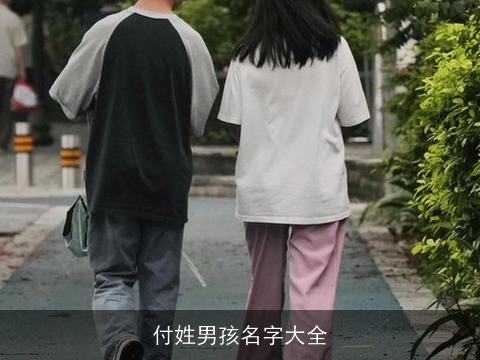 付姓男孩名字大全