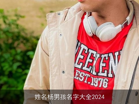 姓名杨男孩名字大全2024