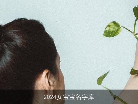 2024女宝宝名字库