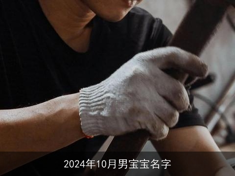 2024年10月男宝宝名字