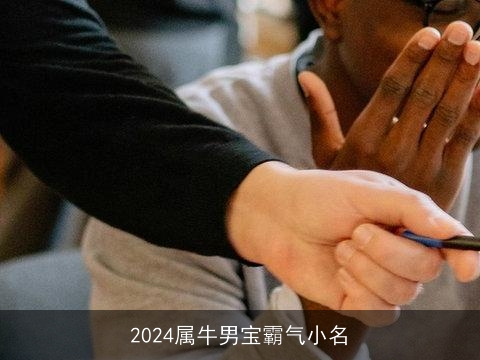 2024属牛男宝霸气小名