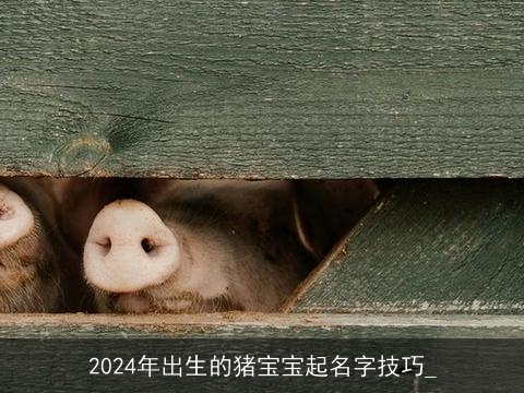 2024年出生的猪宝宝起名字技巧_