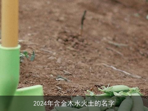 2024年含金木水火土的名字