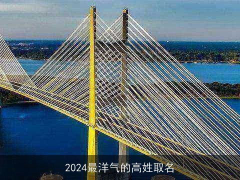 2024最洋气的高姓取名