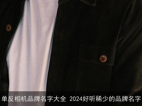 单反相机品牌名字大全 2024好听稀少的品牌名字