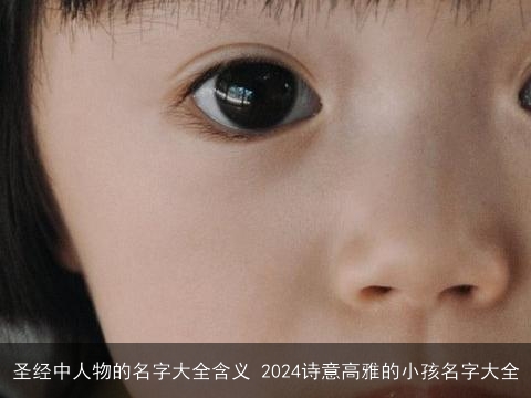 圣经中人物的名字大全含义 2024诗意高雅的小孩名字大全