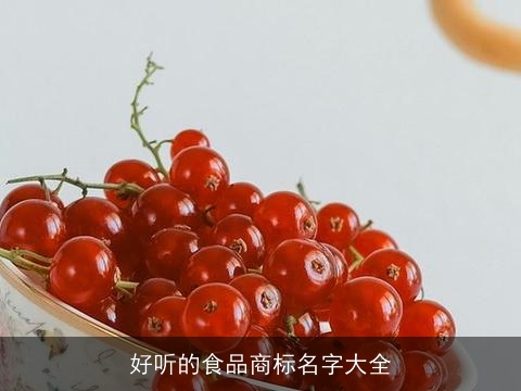 好听的食品商标名字大全