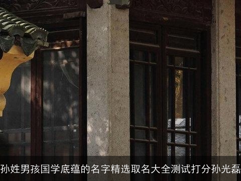 孙姓男孩国学底蕴的名字精选取名大全测试打分孙光磊