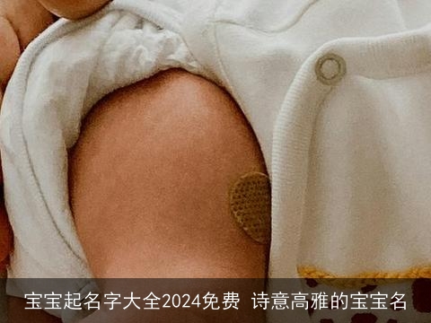 宝宝起名字大全2024免费 诗意高雅的宝宝名