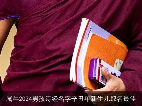 属牛2024男孩诗经名字辛丑年新生儿取名最佳