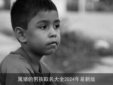 属猪的男孩取名大全2024年最新版