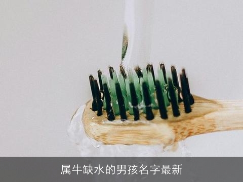 属牛缺水的男孩名字最新