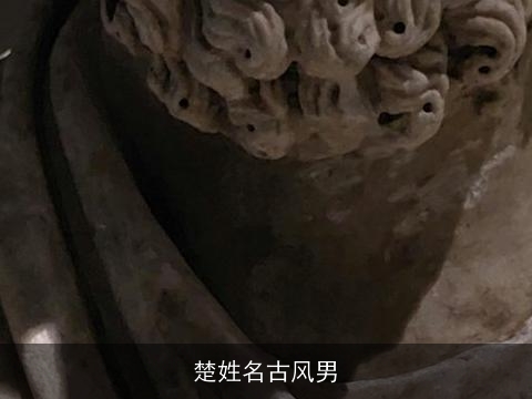 楚姓名古风男