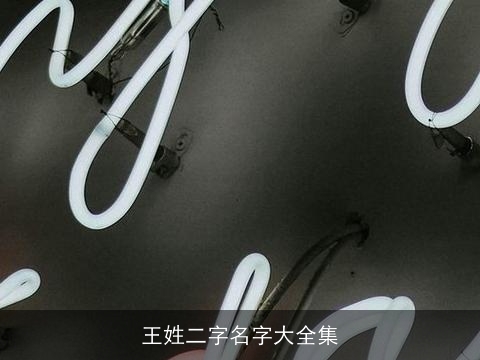 王姓二字名字大全集