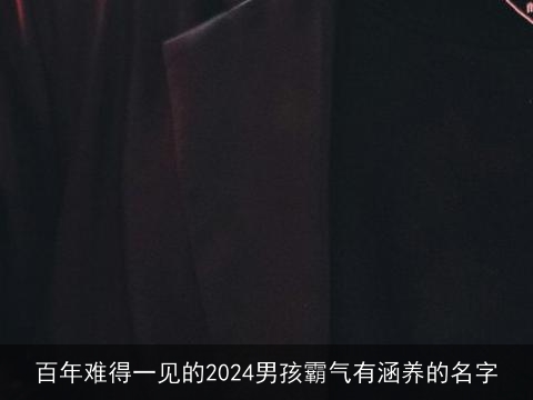 百年难得一见的2024男孩霸气有涵养的名字