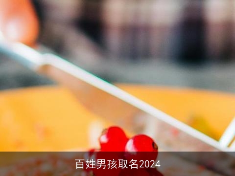 百姓男孩取名2024