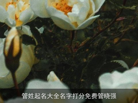 管姓起名大全名字打分免费管晓强