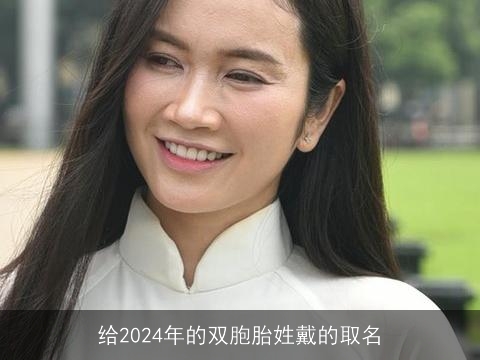 给2024年的双胞胎姓戴的取名