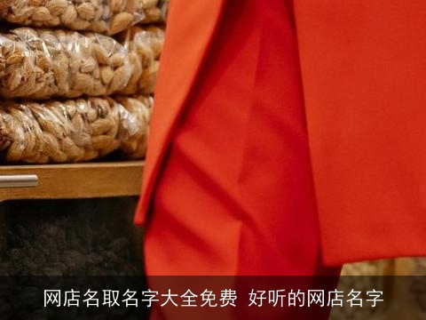 网店名取名字大全免费 好听的网店名字