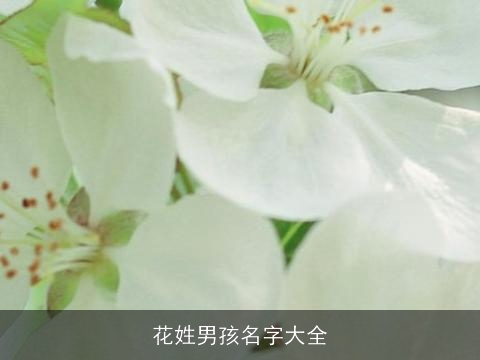 花姓男孩名字大全