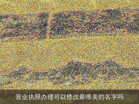 营业执照办理可以修改最唯美的名字吗