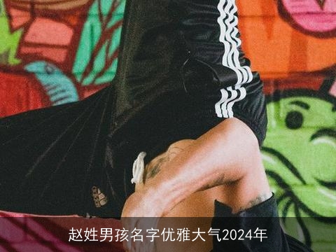 赵姓男孩名字优雅大气2024年