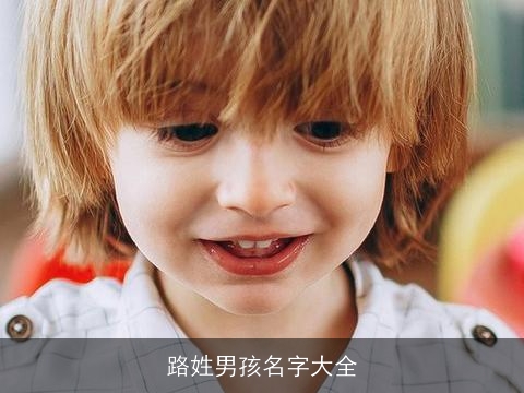 路姓男孩名字大全