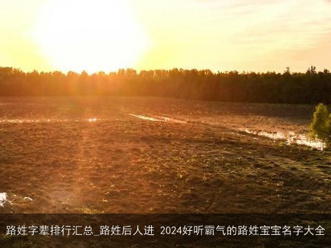 路姓字辈排行汇总_路姓后人进 2024好听霸气的路姓宝宝名字大全