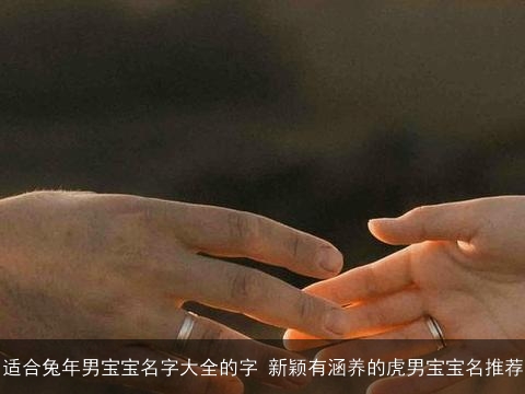 适合兔年男宝宝名字大全的字 新颖有涵养的虎男宝宝名推荐