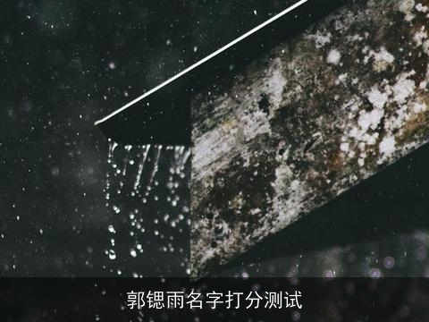 郭锶雨名字打分测试