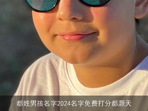 都姓男孩名字2024名字免费打分都灏天