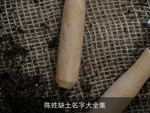 陈姓缺土名字大全集