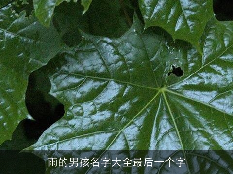 雨的男孩名字大全最后一个字