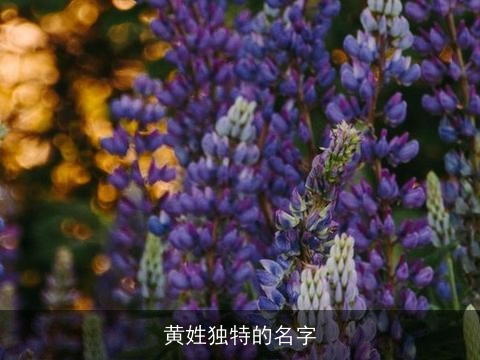 黄姓独特的名字