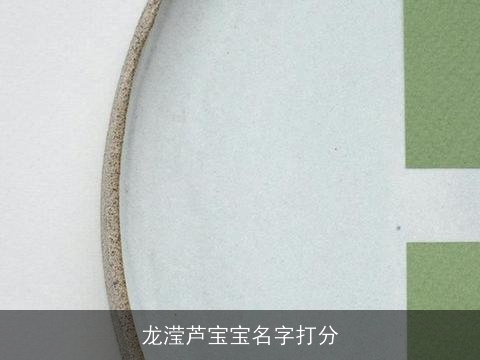 龙滢芦宝宝名字打分