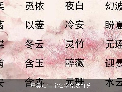 严昊洁宝宝名字免费打分